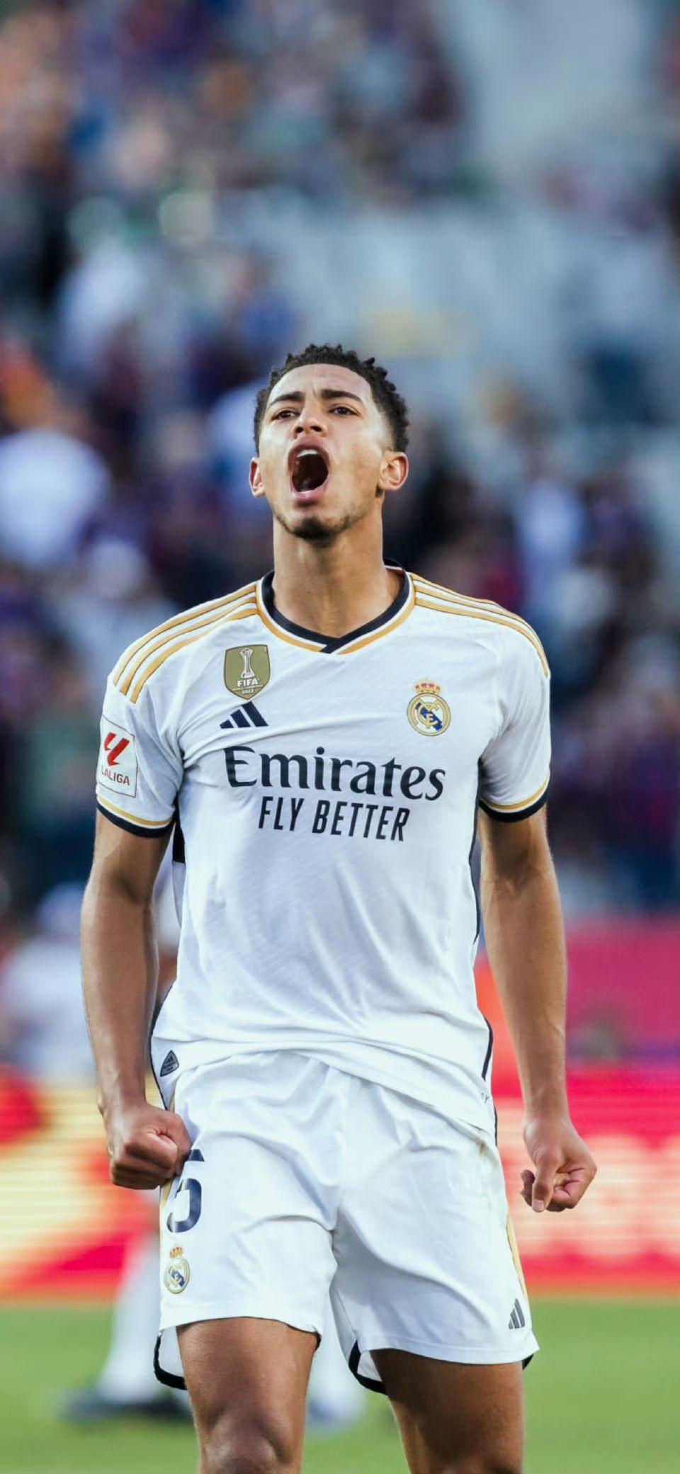 数据与趋势 数据与趋势